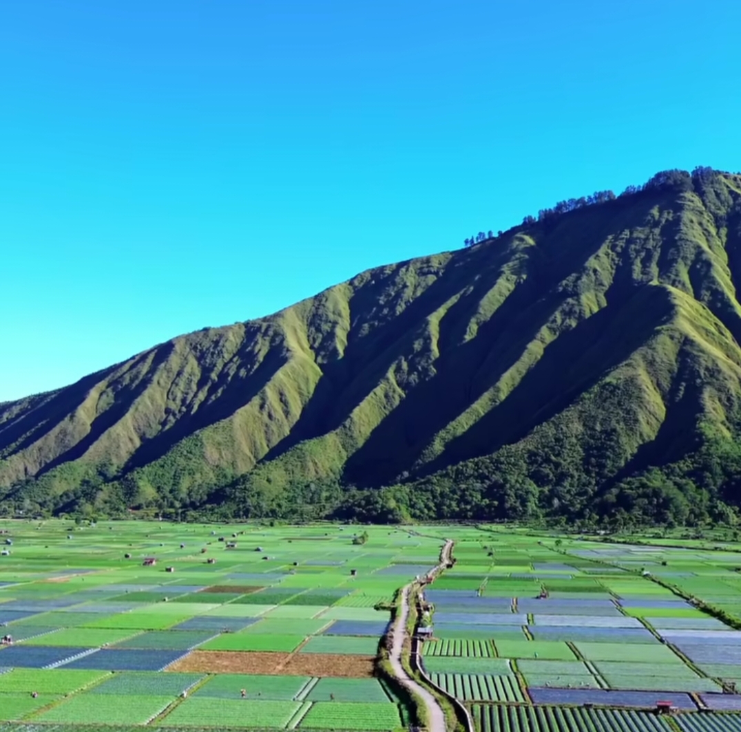 Paket Wisata Lombok 1 Hari Desa Sembalun
